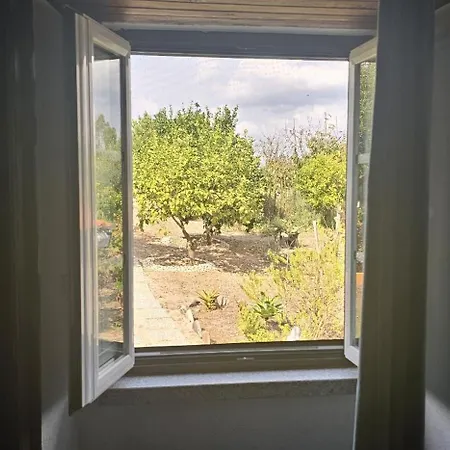 Quinta Penedo Antas - Al Bed & Breakfast