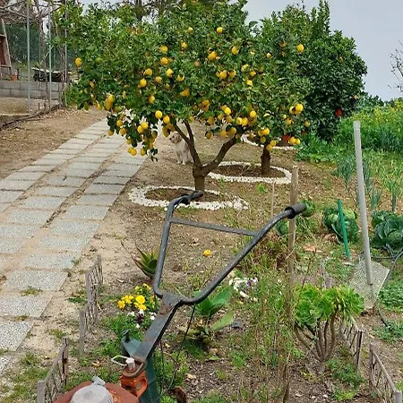 Bed & Breakfast Quinta Penedo Antas - Al Serta