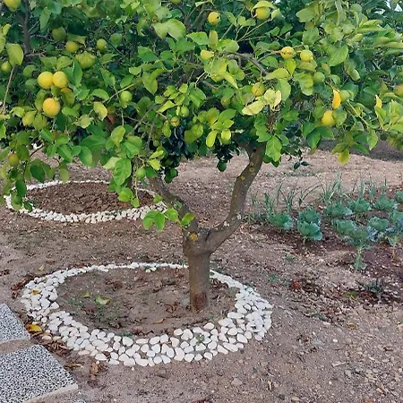 Quinta Penedo Antas - Al Serta