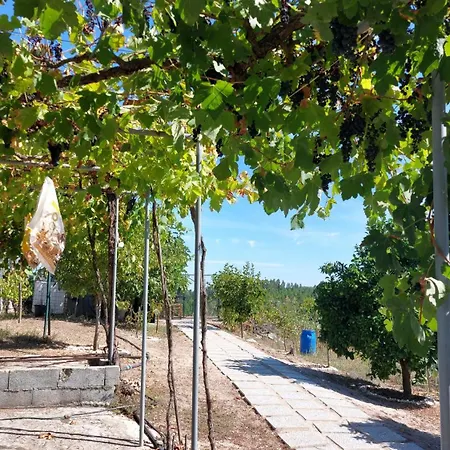 Quinta Penedo Antas - Al * Sertã