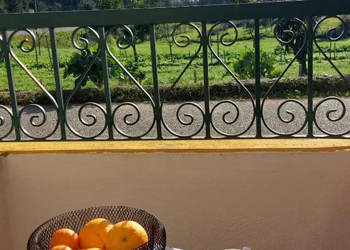 Alojamento de Acomodação e Pequeno-almoço Quinta Penedo Antas 3*