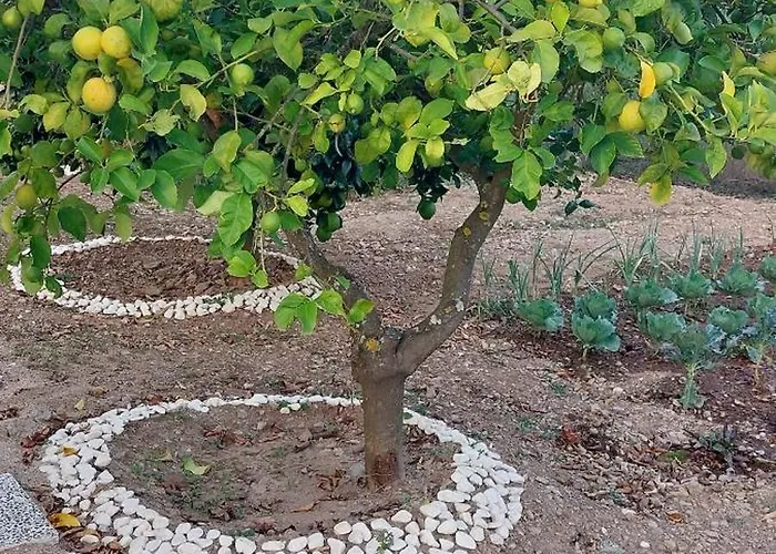 Quinta Penedo Antas Sertã