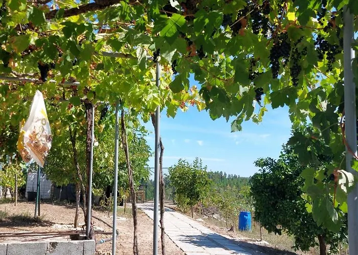 Quinta Penedo Antas 3* Sertã